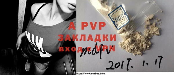 стафф Осинники