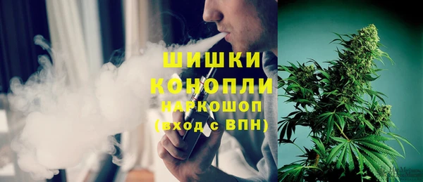стафф Осинники