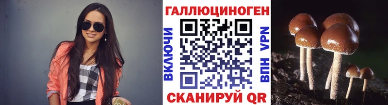Галлюциногенные грибы GOLDEN TEACHER Нижняя Тура